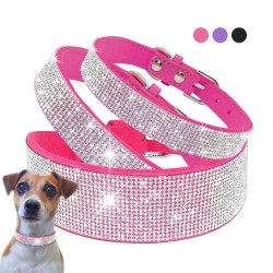 Collares & CorreasCollar de cuero con piedras preciosas para perros y gatos