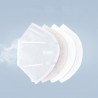 KN95 PM2.5 face mask - mouth mask - antibacterial - nano filter - 5 or 10 piecesMouth masks