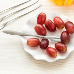 Cubiertosacero inoxidable - dos tenedor tine - tableware - 1pcs - 5pcs - 10pcs