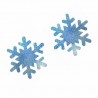 Baño y ropa10 pares - Cubiertas para pezones - copos de nieve