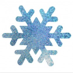 Baño y ropa10 pares - Cubiertas para pezones - copos de nieve