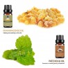 MasajeAceites esenciales para difusor / humidificador / masaje / aromaterapia - 10ml - 16 piezas