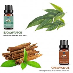 MasajeAceites esenciales para difusor / humidificador / masaje / aromaterapia - 10ml - 16 piezas