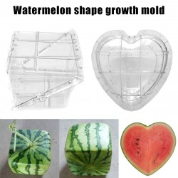 CocinaMolde de forma de sandía - Corazón - Plaza