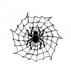 PegatinasAraña en una web de araña - pegatina de coche