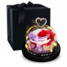 Día de San ValentínRosa eterna conservada - caja de vidrio con luz - Día de San Valentín / regalo de boda