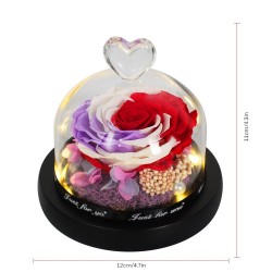 Día de San ValentínRosa eterna conservada - caja de vidrio con luz - Día de San Valentín / regalo de boda