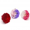 Día de San ValentínElegante caja de joyería con rosa - Día de San Valentín / regalo de boda