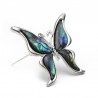 BrochesMariposa con una cáscara de colores - un broche de metal