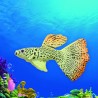 Goldfish - luminous - fish tank / aquarium decorationAquarium