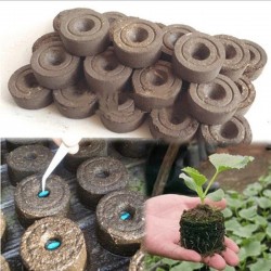Peat pellets - seed nutrient soil - for transplanting / planting - 3 piecesGarden