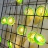 Fruits slices shaped string light - battery powered / USB - lemon / lime / orangeLights & lighting
