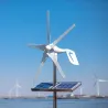 EólicaSmall home wind turbine generator  - street lamps - boat 600W - plus 10 years warranty - 2021 design