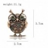 BrochesRetro punk owl brooch - with crystal decorations