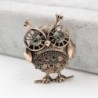 BrochesRetro punk owl brooch - with crystal decorations