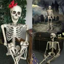 Full life size human skeleton - movable - Halloween decoration - 40cmHalloween & Party