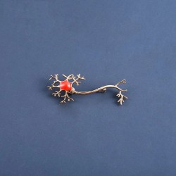 BrochesMedical neuron gene - with red stone - brooch