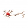 BrochesMedical neuron gene - with red stone - brooch