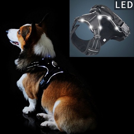 Collares & CorreasDog's harness - with LED - adjustable - reflective - waterproof