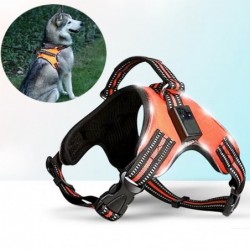 Collares & CorreasArnés para perros - LED - luces intermitentes / reflectantes - caminata nocturna de seguridad - impermeable