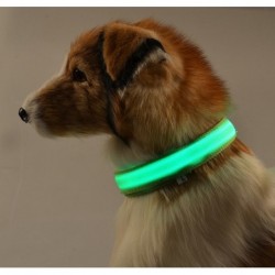 Collares & CorreasLED dog collar - luminous / flashing - safety night walk