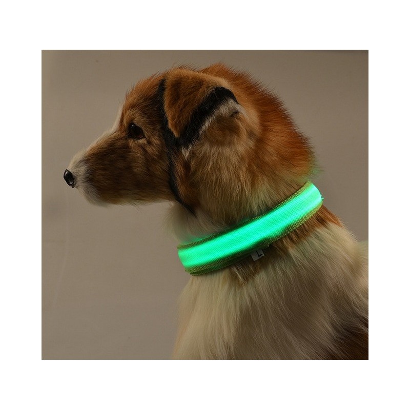 Collares & CorreasLED dog collar - luminous / flashing - safety night walk