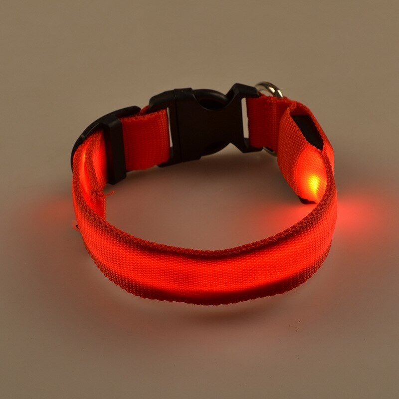 Collares & CorreasLED dog collar - luminous / flashing - safety night walk