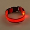 Collares & CorreasLED dog collar - luminous / flashing - safety night walk