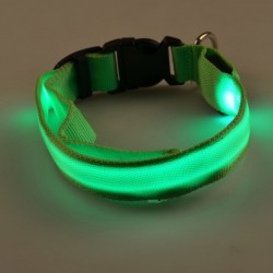 Collares & CorreasLED dog collar - luminous / flashing - safety night walk