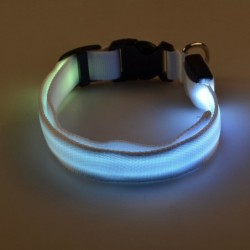 Collares & CorreasLED dog collar - luminous / flashing - safety night walk