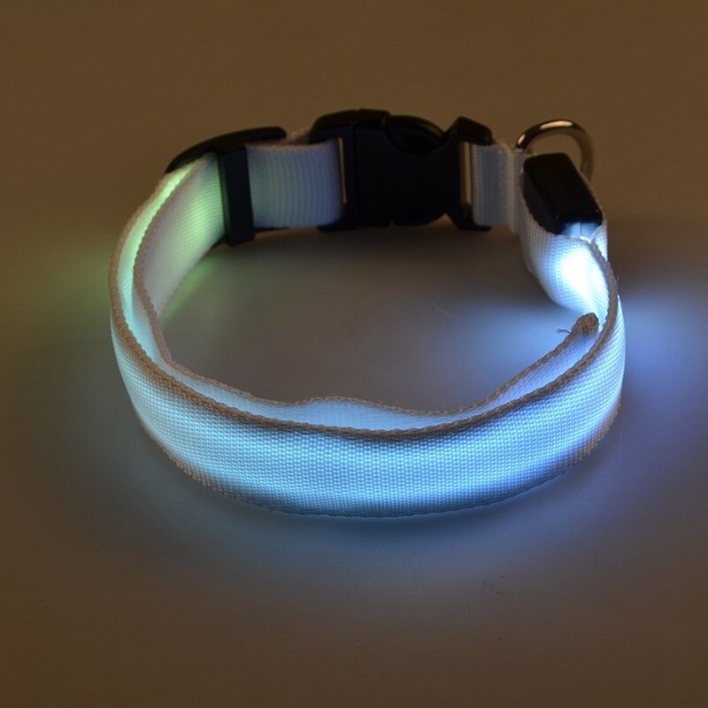 Collares & CorreasLED dog collar - luminous / flashing - safety night walk