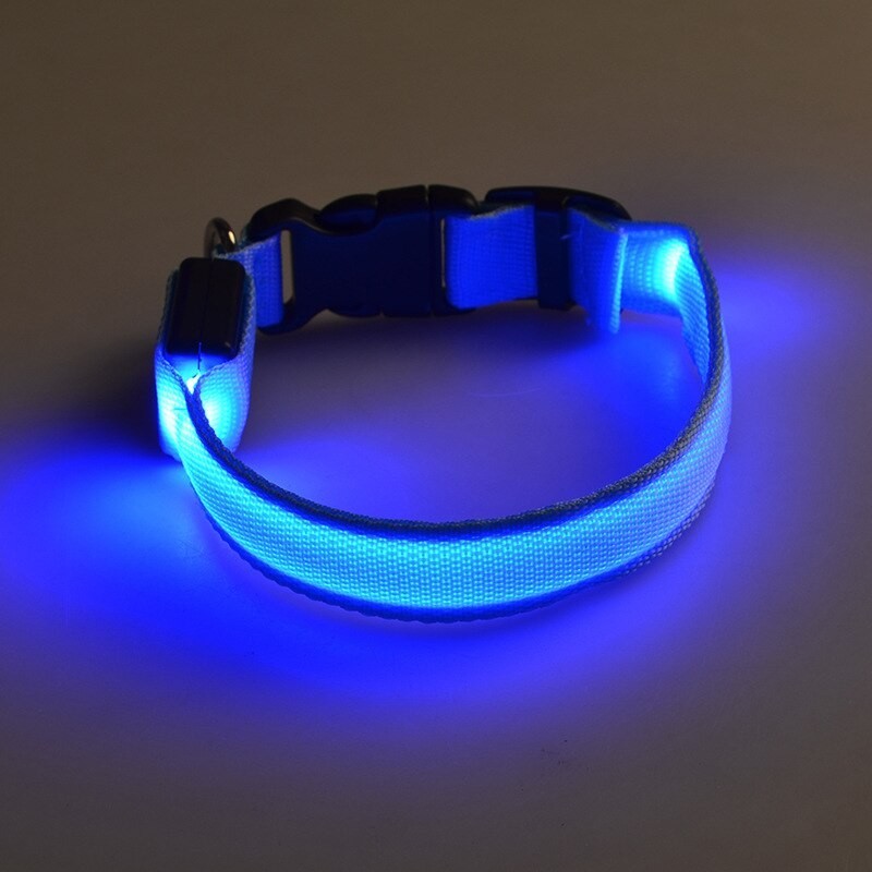 Collares & CorreasLED dog collar - luminous / flashing - safety night walk