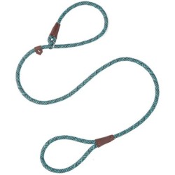 Collares & CorreasDog leash - collar - adjustable loop - durable