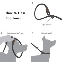 Collares & CorreasDog leash - collar - adjustable loop - durable