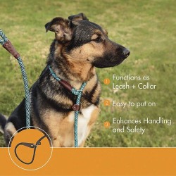 Collares & CorreasDog leash - collar - adjustable loop - durable