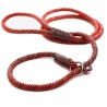 Collares & CorreasDog leash - collar - adjustable loop - durable