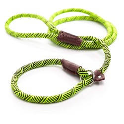 Collares & CorreasDog leash - collar - adjustable loop - durable