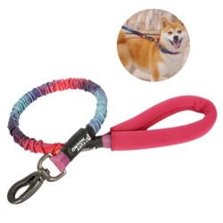 Collares & CorreasDog leash - collar - with traction rope / buckle