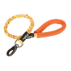 Collares & CorreasDog leash - collar - with traction rope / buckle