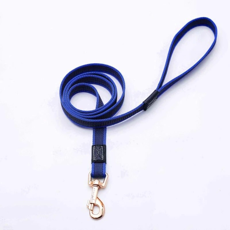 Collares & CorreasDog leash - collar - non-slip - with metal buckle - 2m / 3m / 5m
