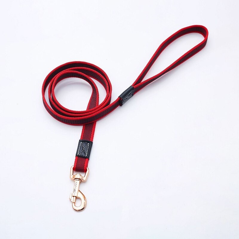 Collares & CorreasDog leash - collar - non-slip - with metal buckle - 2m / 3m / 5m