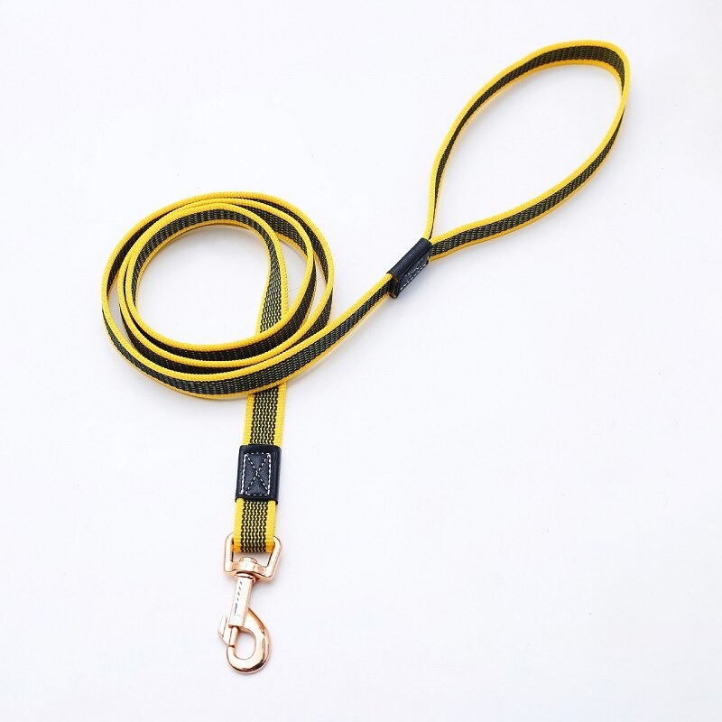 Collares & CorreasDog leash - collar - non-slip - with metal buckle - 2m / 3m / 5m