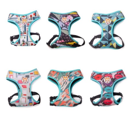 Collares & correasDog harness - leash with buckle - colorful printing