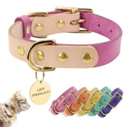 Collares & correasDog - cat collar pet collar - engraved with name - ID tags - for small animals