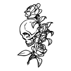 PegatinasVinilo adhesivo para coche/moto - calavera con rosas