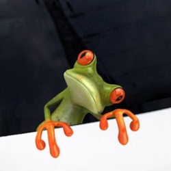 PegatinasEtiqueta engomada de la ventana del coche - rana que mira a escondidas - impermeable