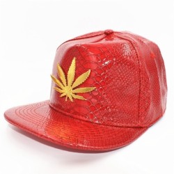 Baseball cap - leather snapback - with metal leaf - hip hop styleHats & Caps