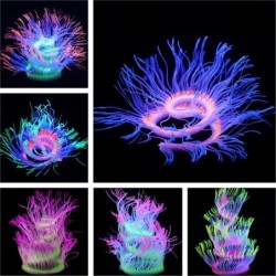 Flexible silicone coral / anemone - glowing in dark - aquarium decorationAquarium