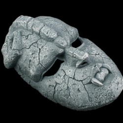 MáscaraFantasma de piedra - máscara de resina de cara completa - Halloween - carnavales
