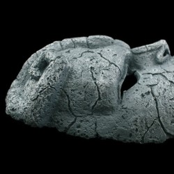 MáscaraFantasma de piedra - máscara de resina de cara completa - Halloween - carnavales